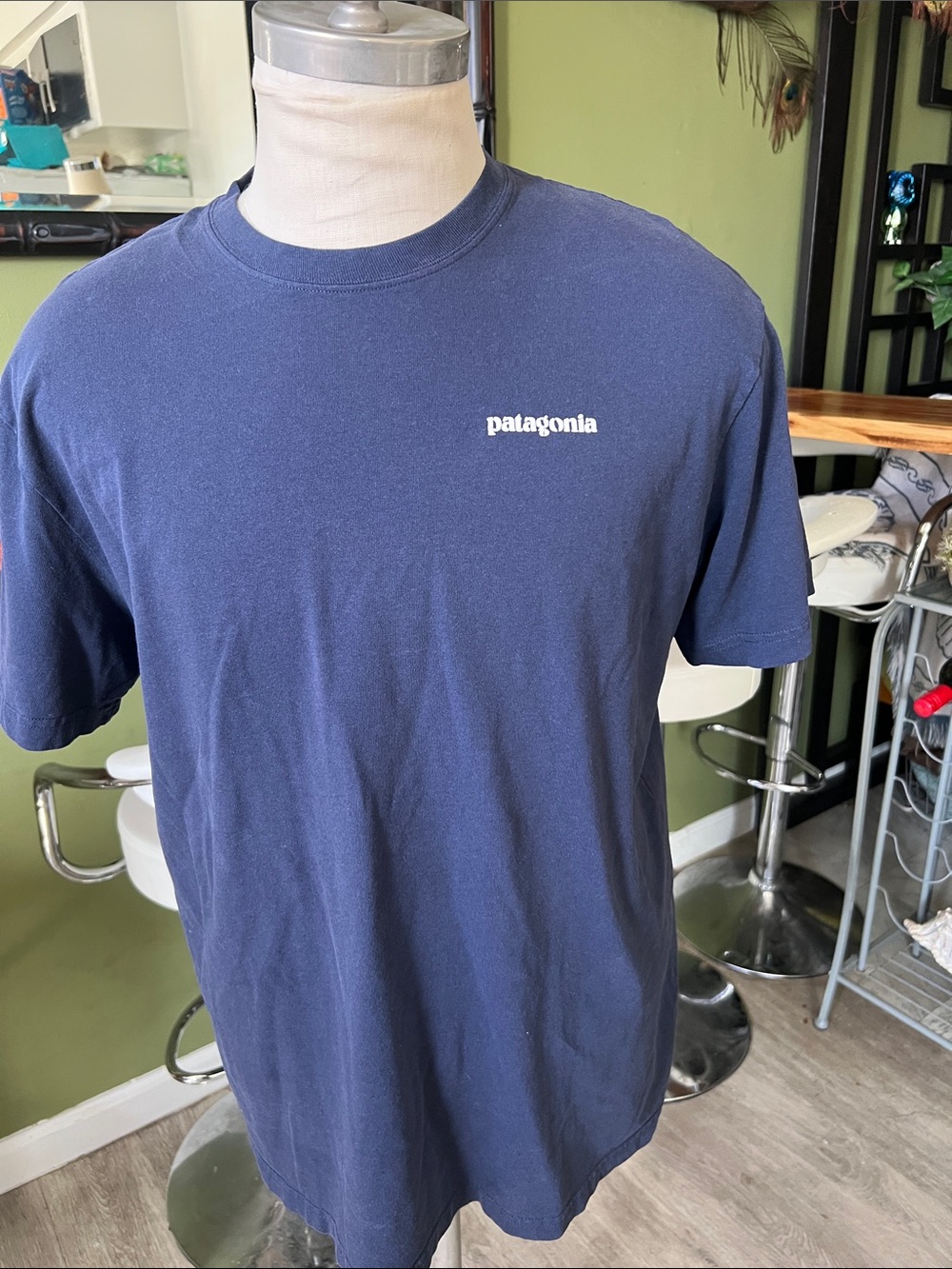 Patagonia regular fit tshirt for men’s size L
